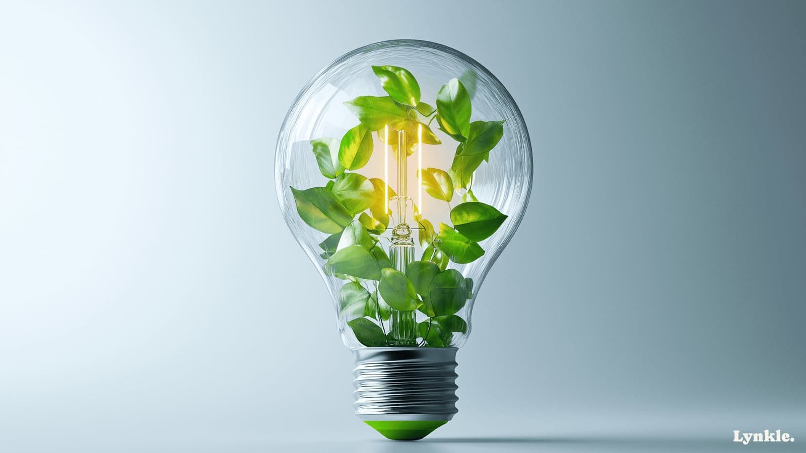 Eco-friendly business cards